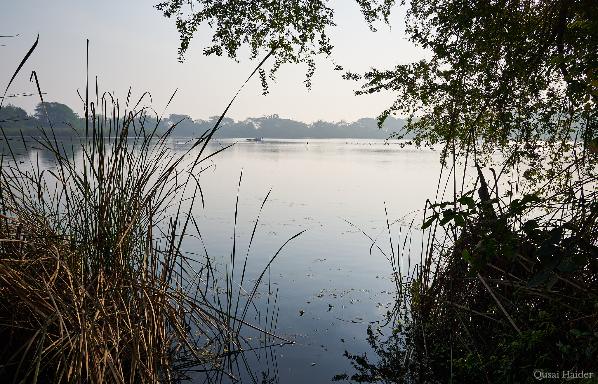 Gavier Lake - Surat