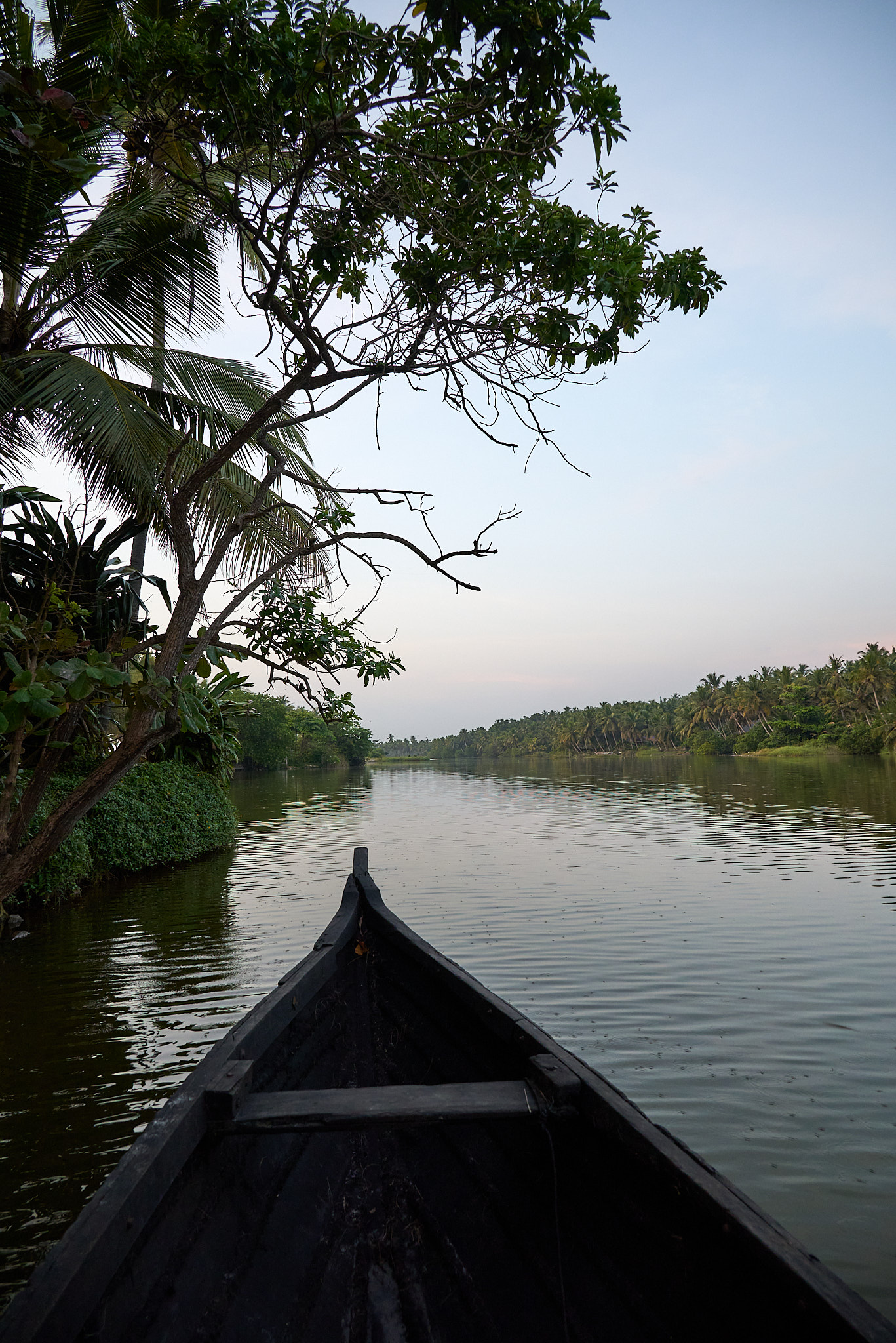 Backwater Boat Ride